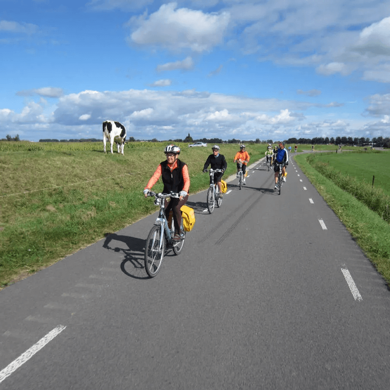 Webdesign Obdam, Webdesign Snel een webdesigner - Boost jouw Online Succes met onze Hulp